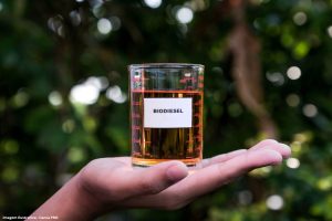 Produção de biodiesel cresce 32% em MS e supera 31 milhões de litros