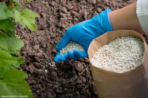Senado aprova incentivo a fertilizantes, e renúncia fiscal fica para jabuti na Câmara