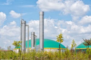 Com foco em energia renovável, bioenergia impulsiona a economia de MS