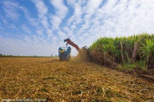 Endura-e-Sao-Manuel-captacao-de-CO2 i imagem usina sucroenergética
