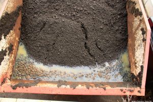 Lodo vira alternativa para a fertilização dos solos
