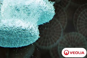 MBBR Reator de Biofilme de Leito Móvel Veolia Water Technologies