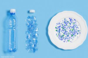 Onde mais se encontram microplásticos o ranking dos ambientes mais afetados (1)