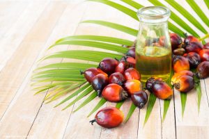 Resíduos da produção do óleo de palma e cana-de-açúcar podem servir de matéria-prima para o biometano