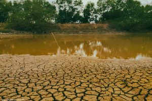 Seca avança no Norte e Nordeste e aumenta pressão sobre recursos hídricos