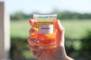 Alternativas ao Diesel_ Biodiesel ganha espaço com controle de qualidade e foco em frotas de alta demanda
