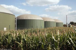 Biogás e biometano ganham força no Brasil com avanço de financiamentos e novos projetos