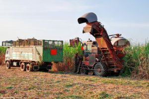 Estudo da Embrapa acende alerta para poluição das águas no cinturão do agronegócio