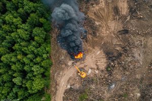 Fogo e desmatamento transformam Amazônia em fonte de carbono para a atmosfera