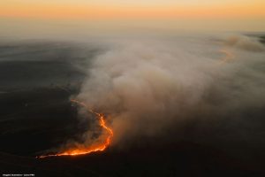 Incêndios na Amazônia reduzem a absorção de carbono pela floresta