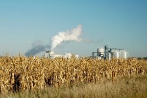 Mato Grosso deve produzir 61% de todo o etanol de milho do Brasil