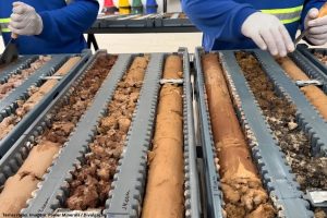Power Minerals confirma terras raras de alto teor em profundidade e amplia potencial do Projeto Morro do Ferro, em Minas Gerais (1)