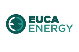 Projeto de R$ 10,35 bilhões prevê fábrica de celulose e usina de 372 MW em MT