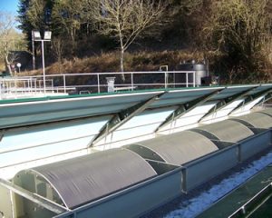 ECODISK